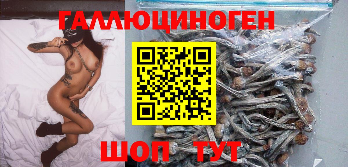 Галлюциногенные грибы мухоморы Майский