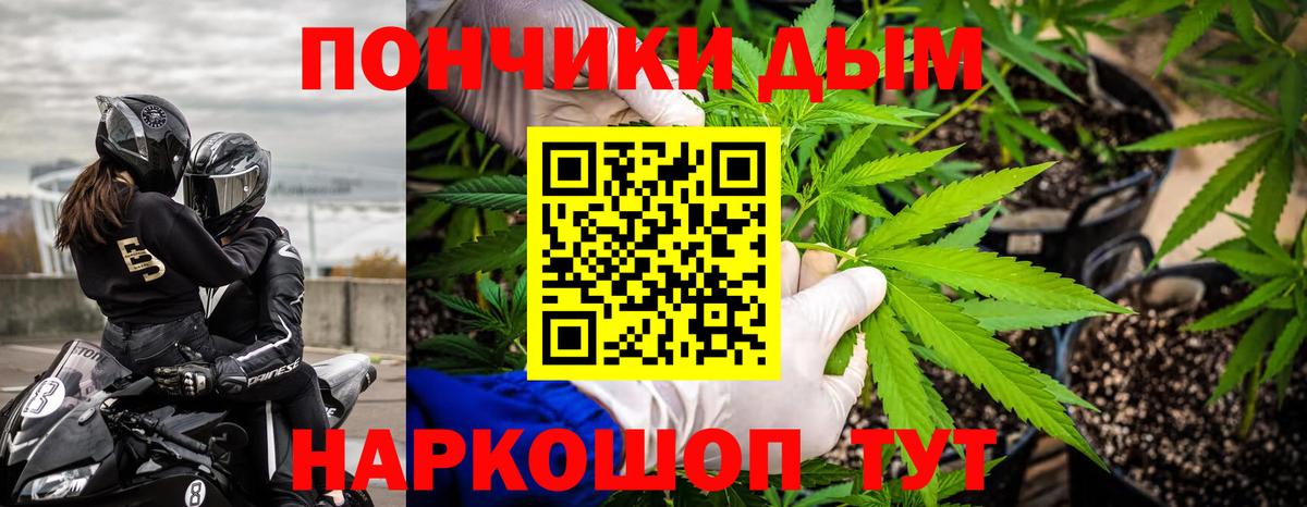 Псилоцибиновые грибы Майский